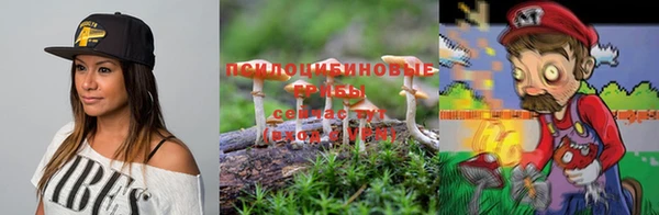 гидропоника Лабытнанги