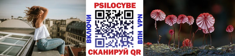 Купить  Городище  Псилоцибиновые грибы Psilocybine cubensis 